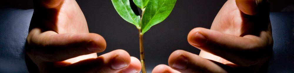 Photo,Of,Green,Plant,Between,Male,Hands,On,A,Black Photo,Of,Green,Plant,Between,Male,Hands,On,A,Black